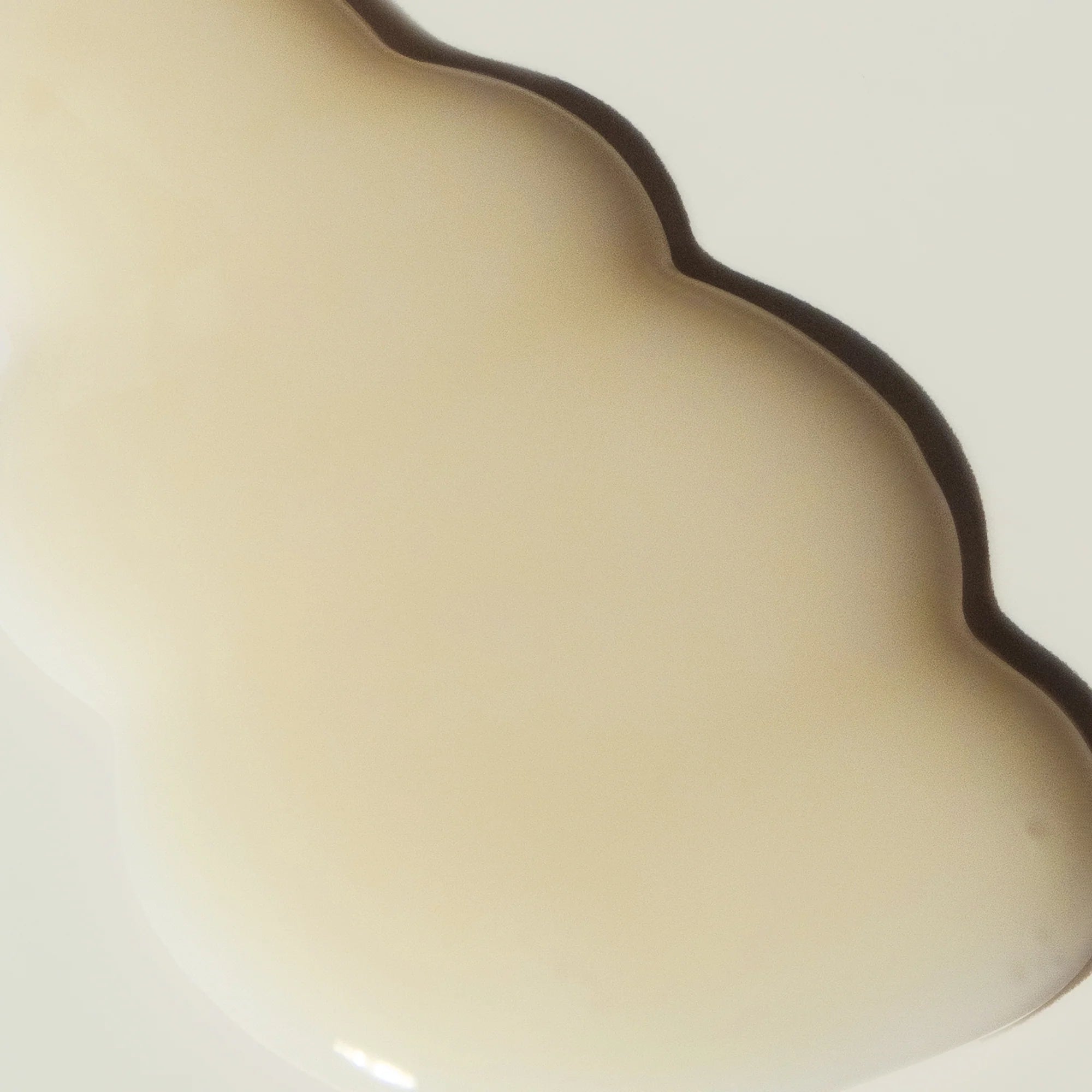 Sérum Hyaluronique Anti-Rides Riz Noir