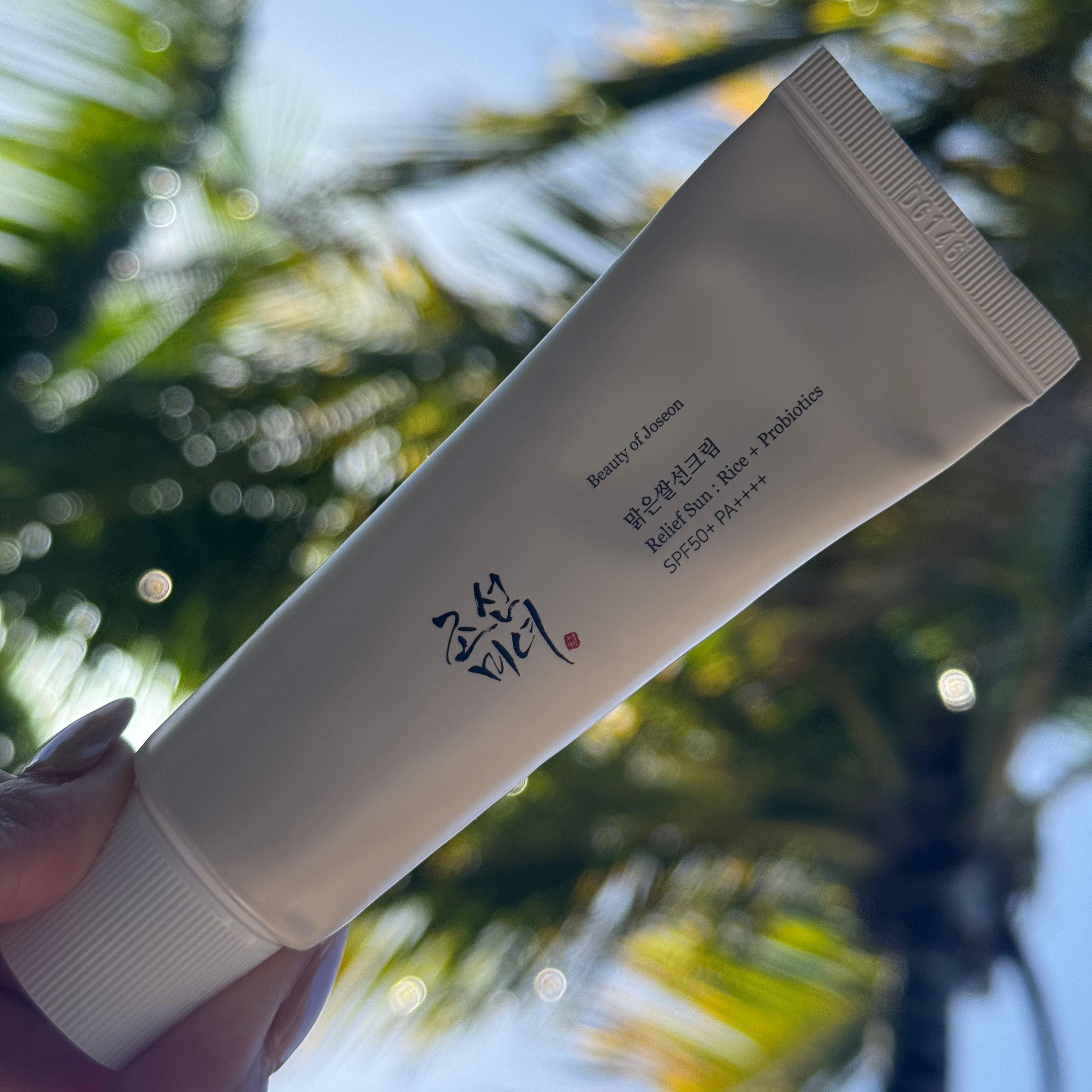 Crème solaire riz probiotique Beauty of Joseon avec arrière-plan plage et palmiers