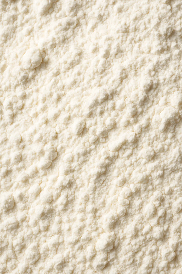 Poudre de riz